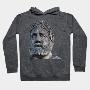 You're Beard Hoodie